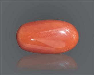 Natural Coral  16.64RTS-18607